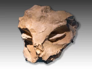 Mask of la Roche Cotard