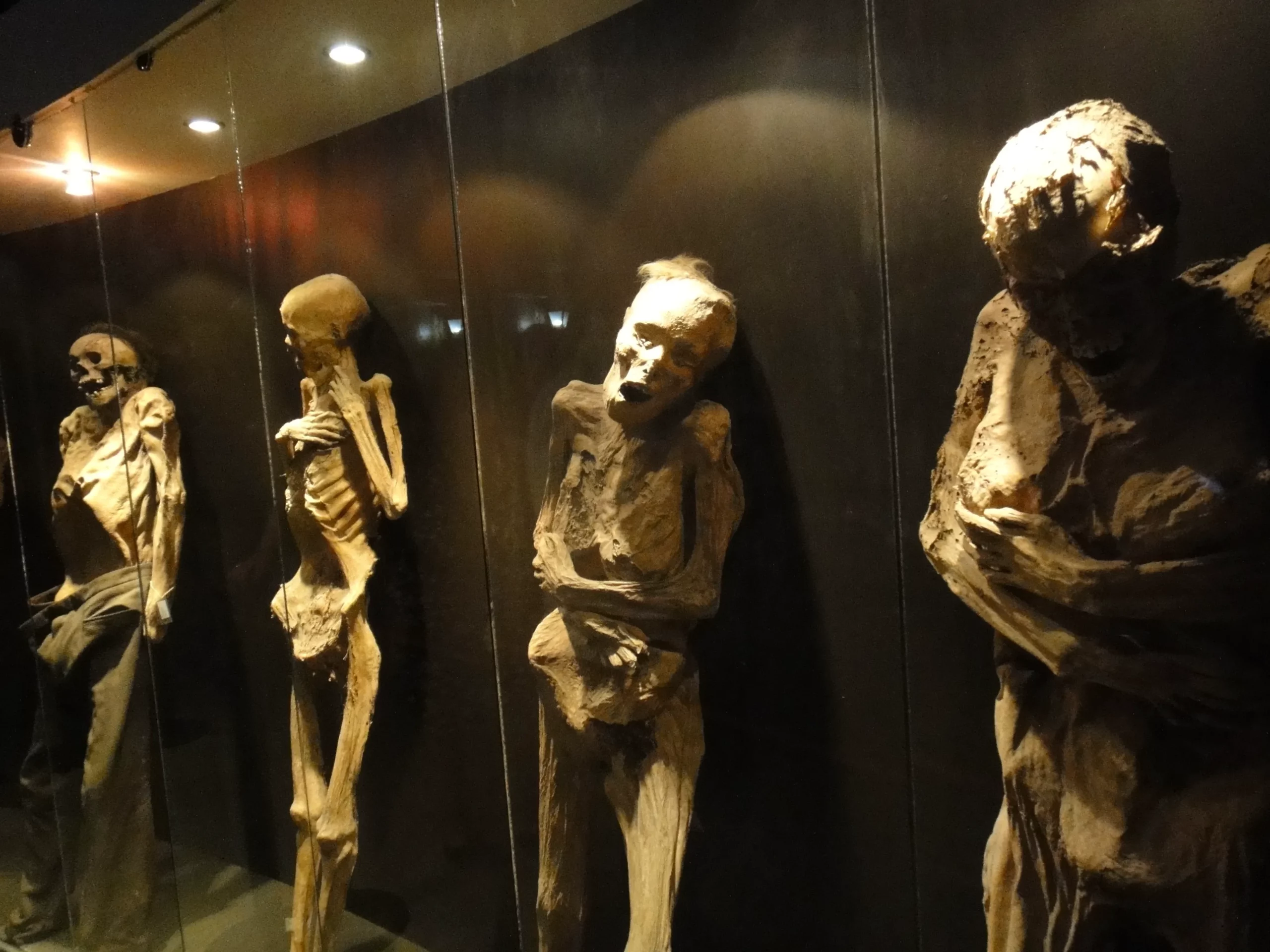 The Mummies of Guanajuato 2