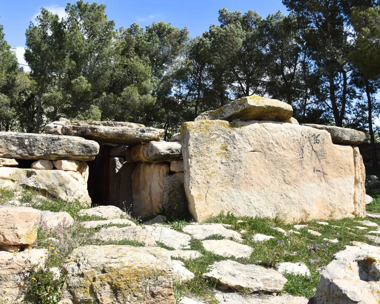 Dolmens of Eles 6