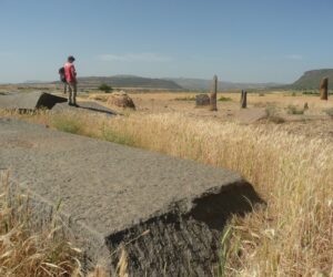 Gudit stelae field 1