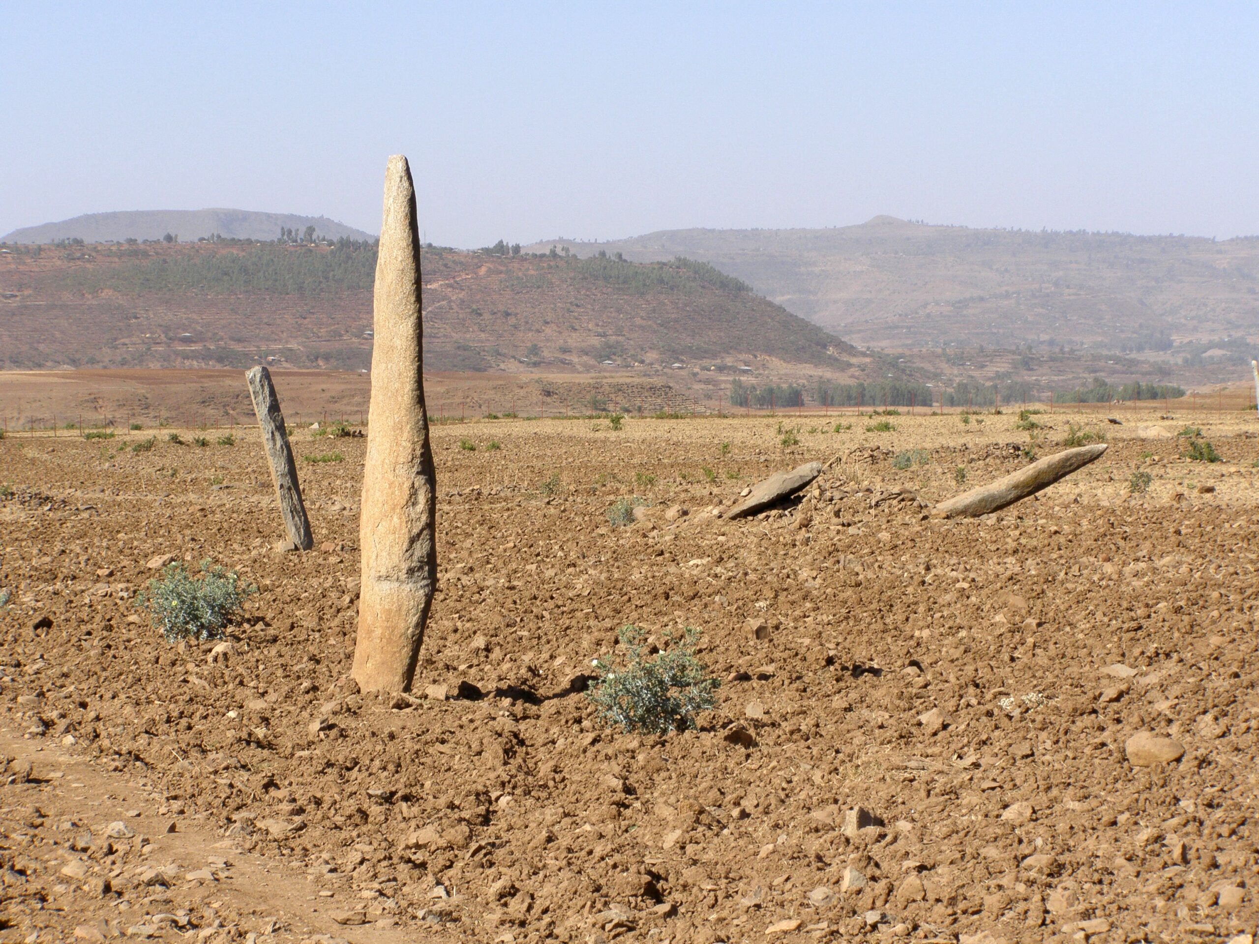 Gudit stelae field