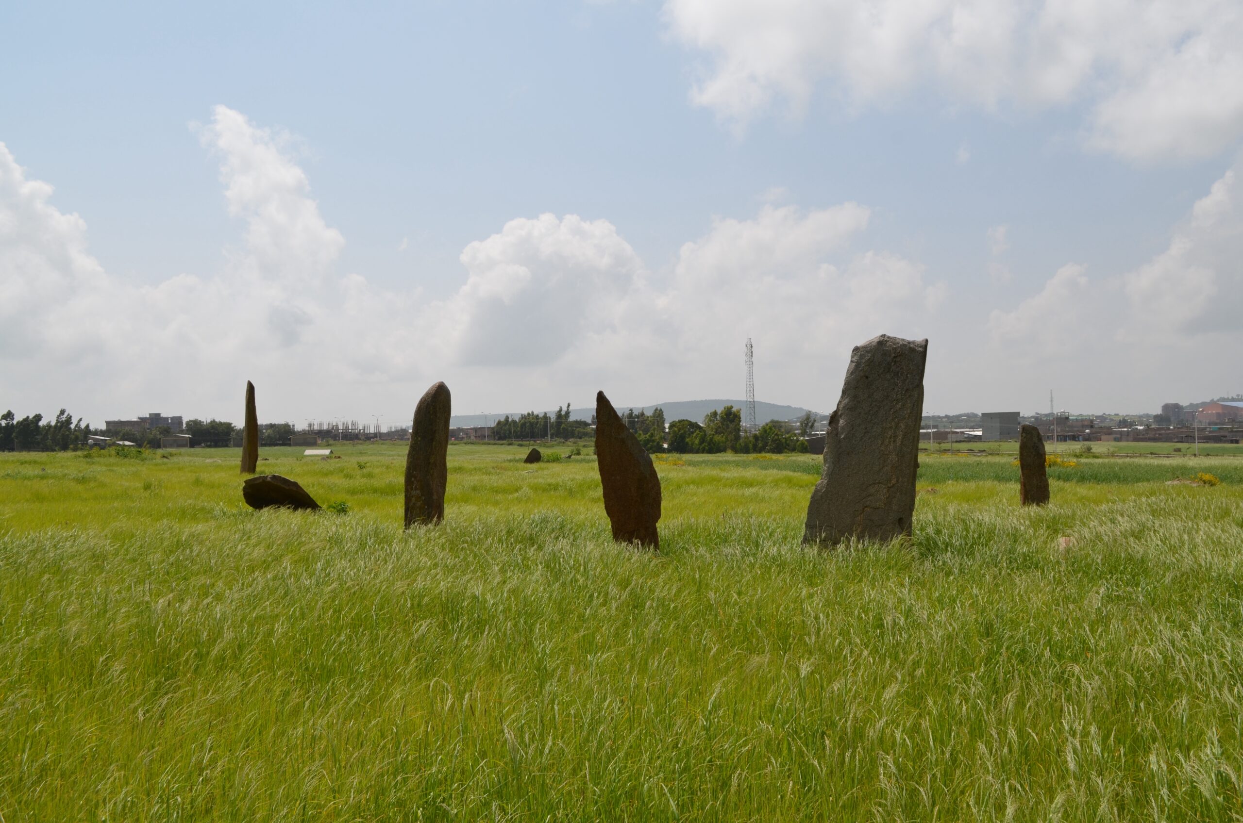 Gudit stelae field 5