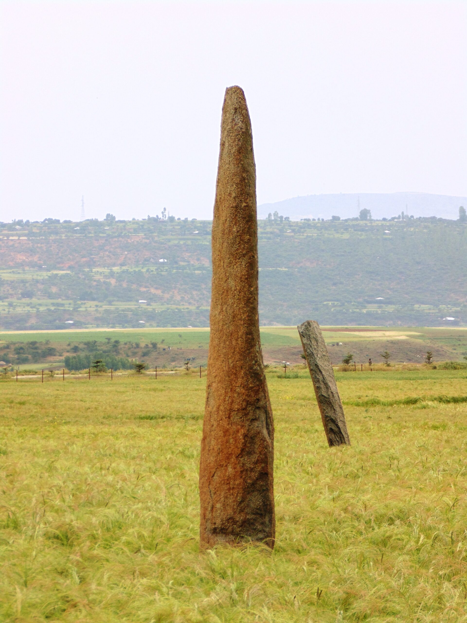 Gudit stelae field 6