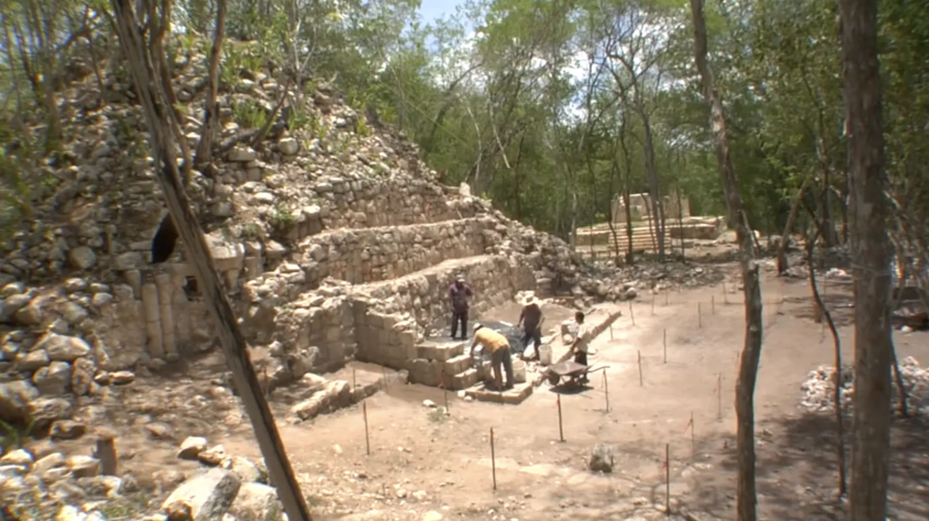 Kiuic | The Brain Chamber