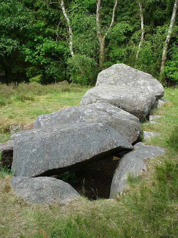 Necropolis of Soderstorf 4