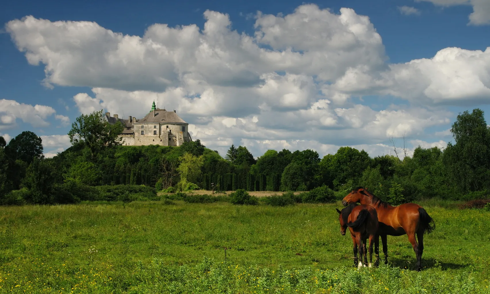 Olesko Castle 5