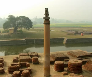 Pillars of Ashoka 1