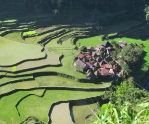 Banaue Rice Terraces 10