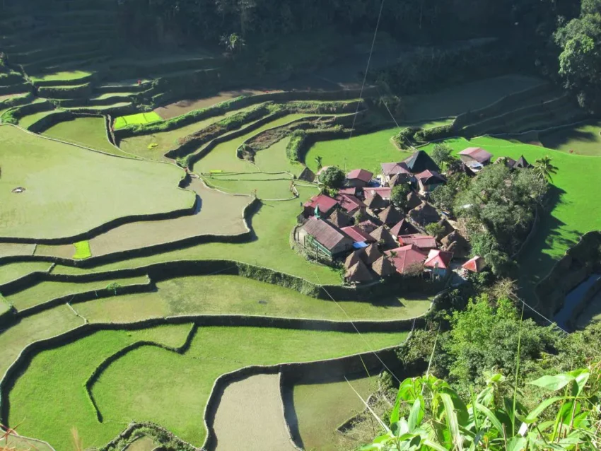 Banaue Rice Terraces 10