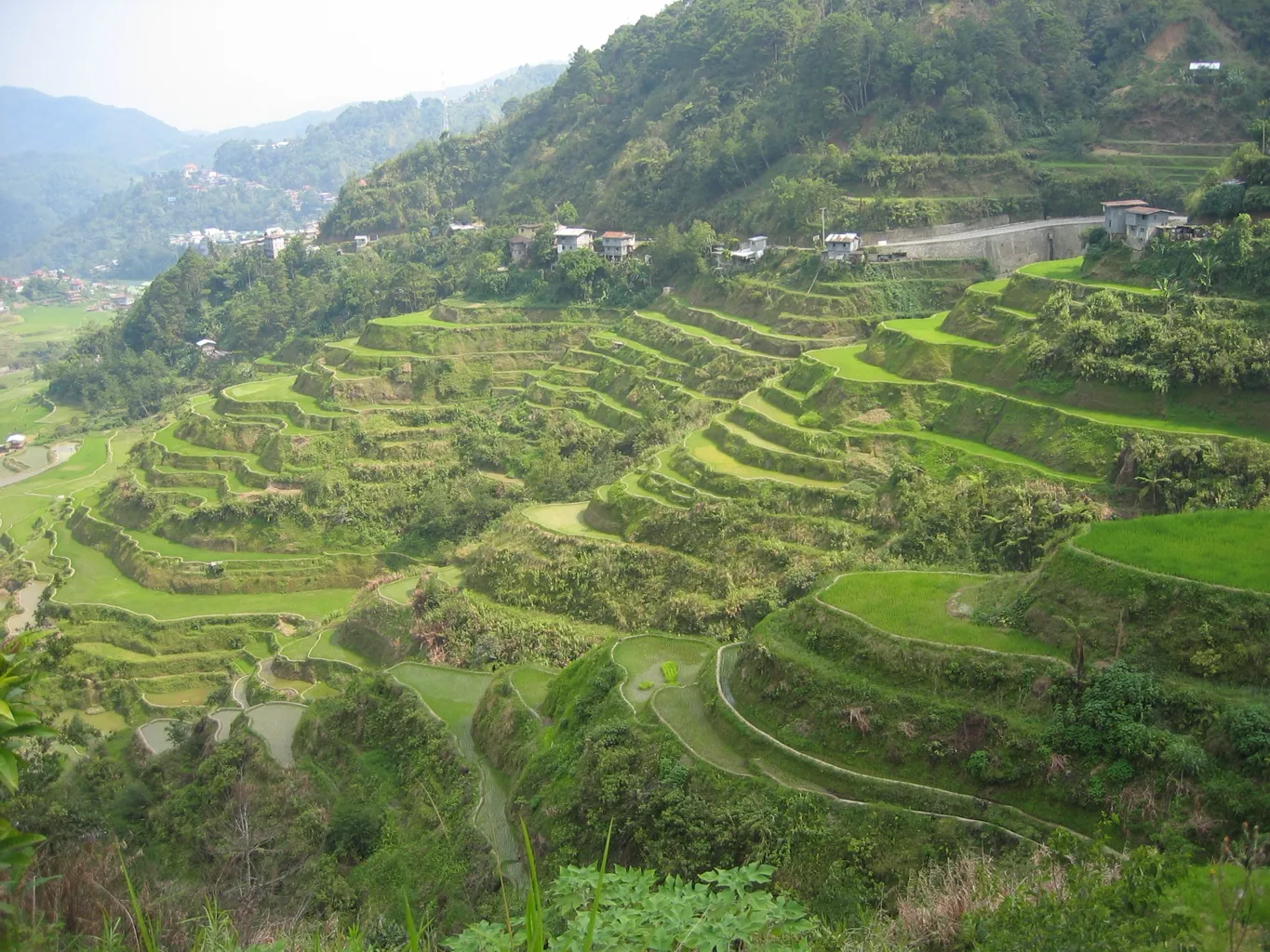 Banaue Rice Terraces 5