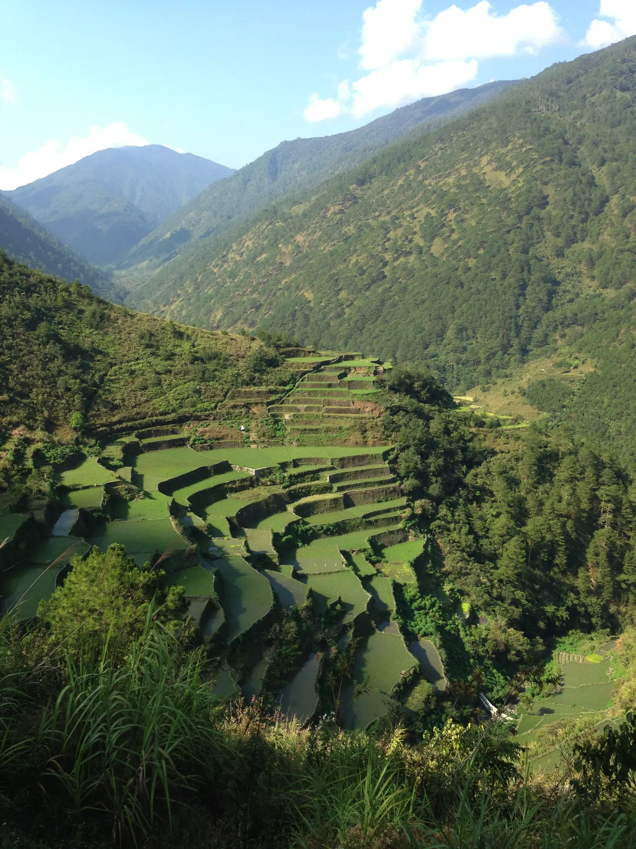 Banaue Rice Terraces 6