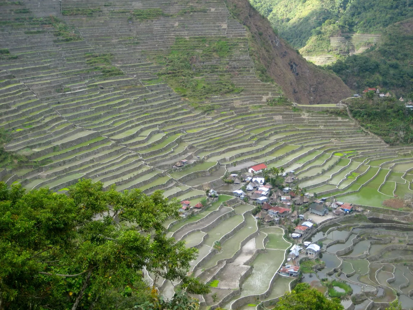 Banaue Rice Terraces 9