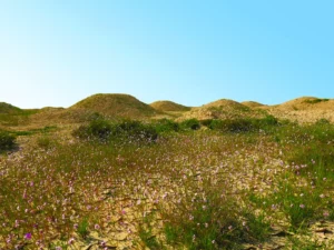 Dilmun Burial Mounds