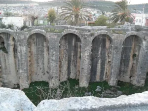 Tekir Ambarı