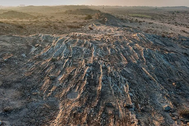 The Rock Carvings