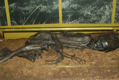 Tollund Man 1