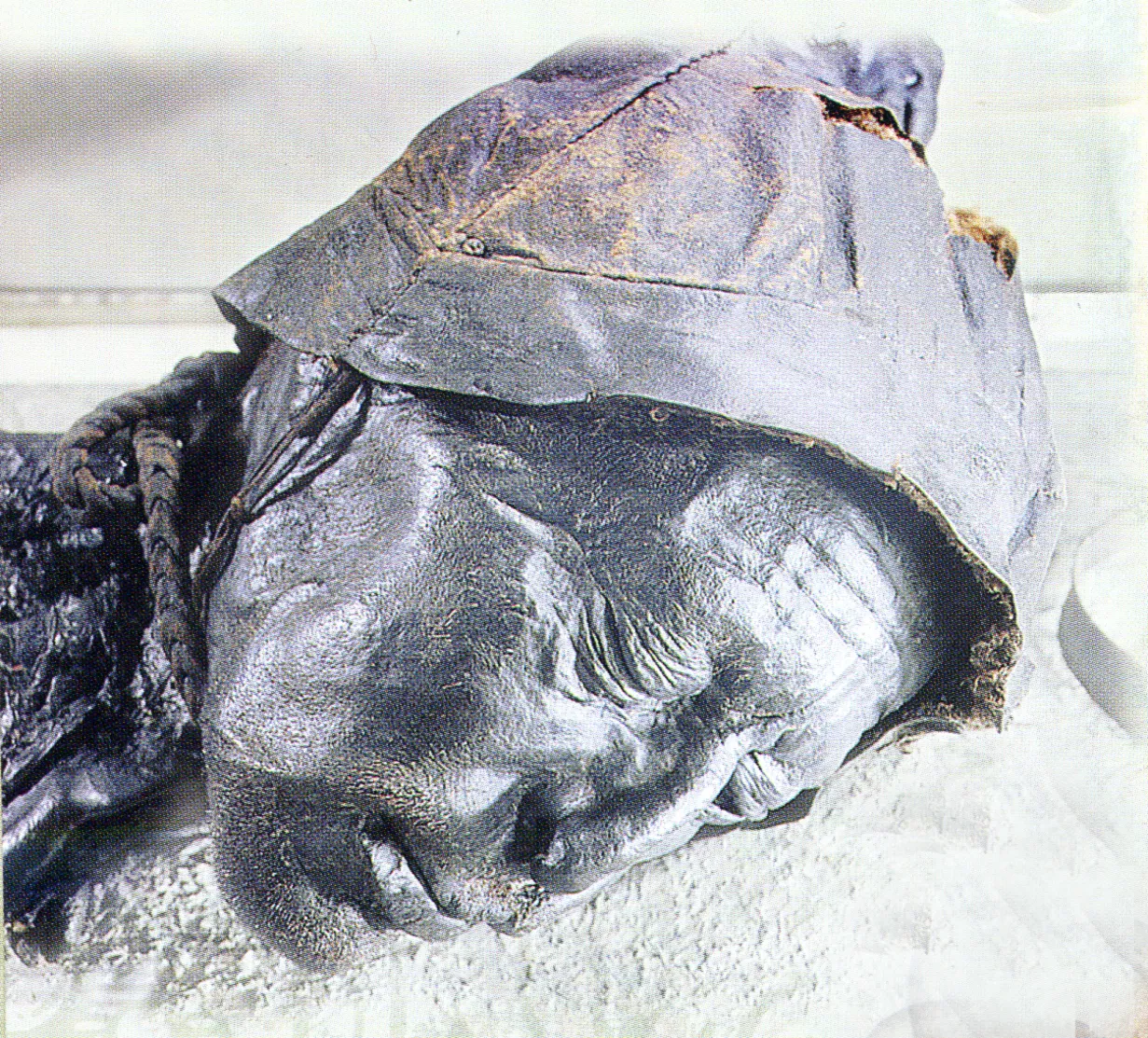 Tollund Man 3