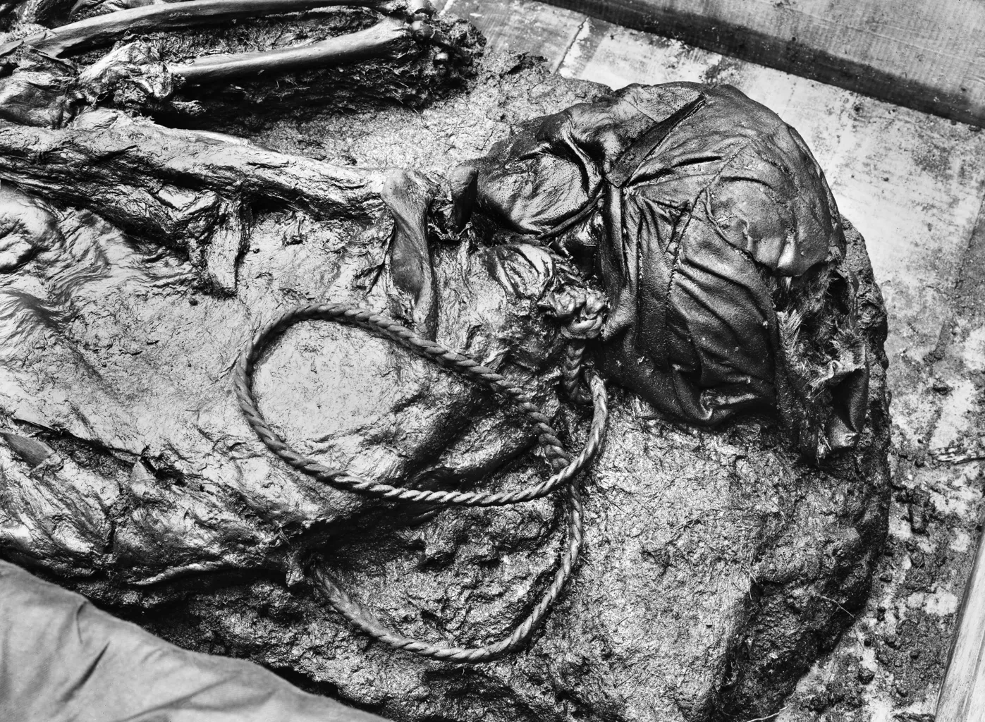 Tollund Man 4