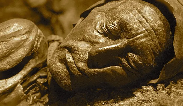 Tollund Man 6