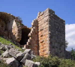 Aigosthena