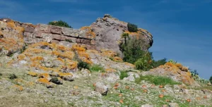 Ancient City of Sulki