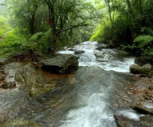 Brahmagiri Archaeological Site