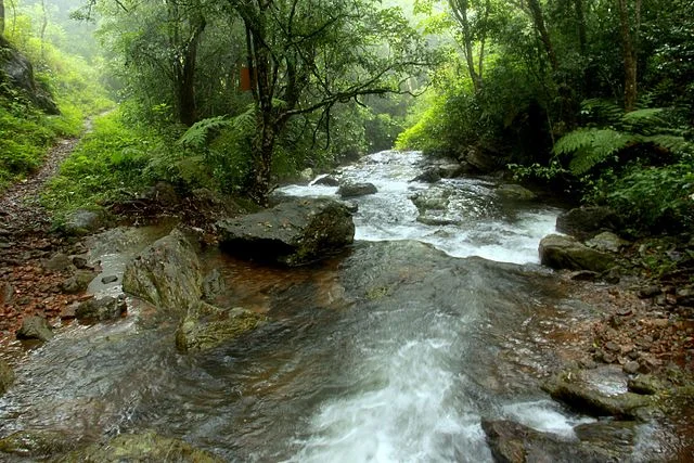 Brahmagiri Archaeological Site