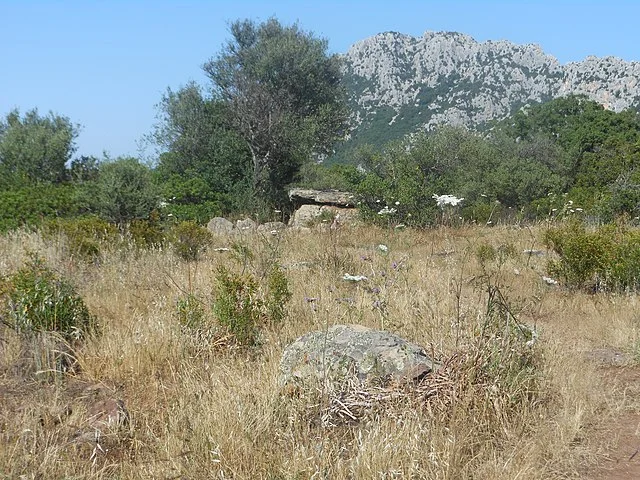 Excavations and Research of Motorra Dolmen