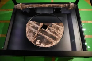 Ljubljana Marshes Wheel