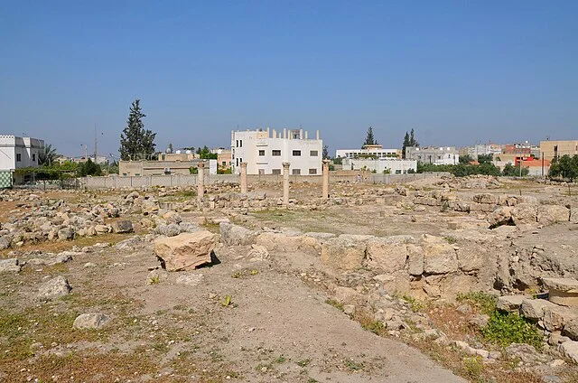 Neolithic and Bronze Age Periods of Pella, Jordan