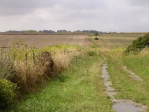 Normanton Down Barrows