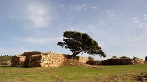 Nuragic Complex of S’Arcu ‘e Is Forros