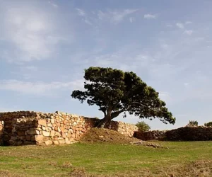 Nuragic Complex of S’Arcu ‘e Is Forros