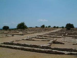 Olynthus