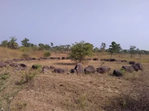 Stone Circles of Junapani