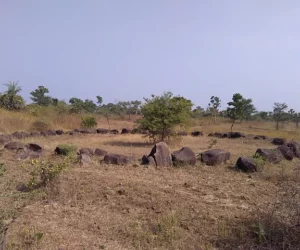 Stone Circles of Junapani