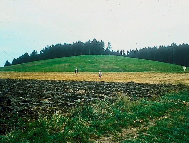 Structure and Design of Magdalenenberg