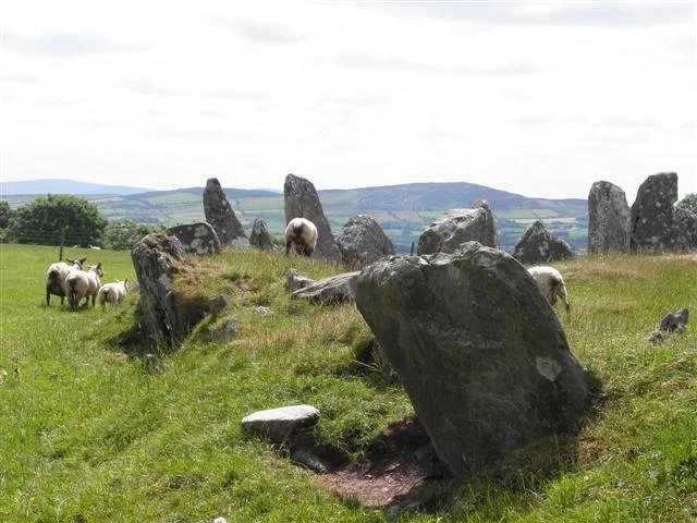 Structure and Layout of Beltany Stone Circle