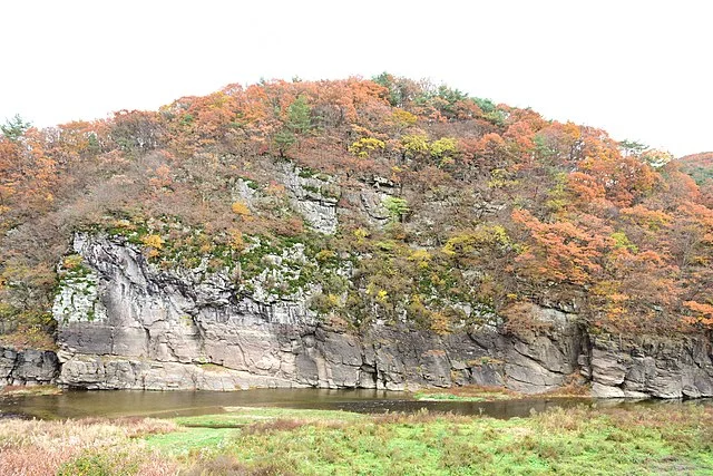 Discovery and Preservation of Bangudae Petroglyphs