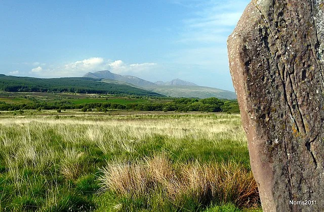 Function and Significance of Machrie Moor Standing Stones