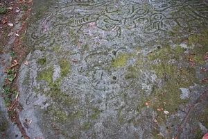 Petroglyph Provincial Park
