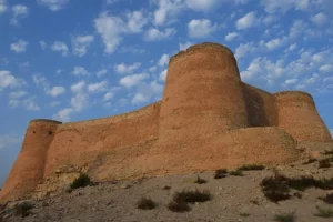 Tarout Castle