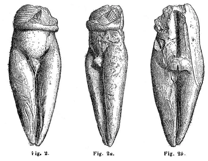 Venus of Brassempouy 4