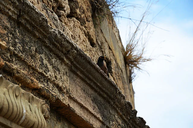 Archaeological Significance of Mankiala Stupa