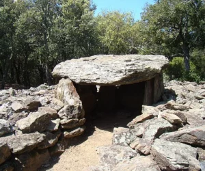 Coll de la Llosa Dolmen