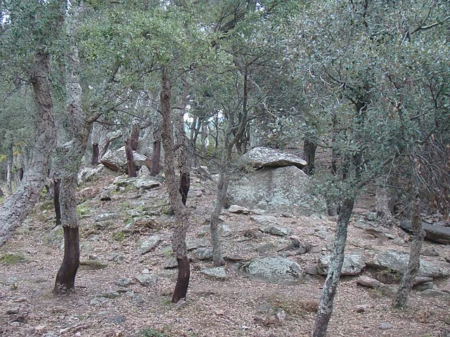 Cultural Context of Siureda Dolmen