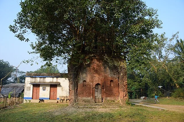 Historical Background of Raghunath Temple