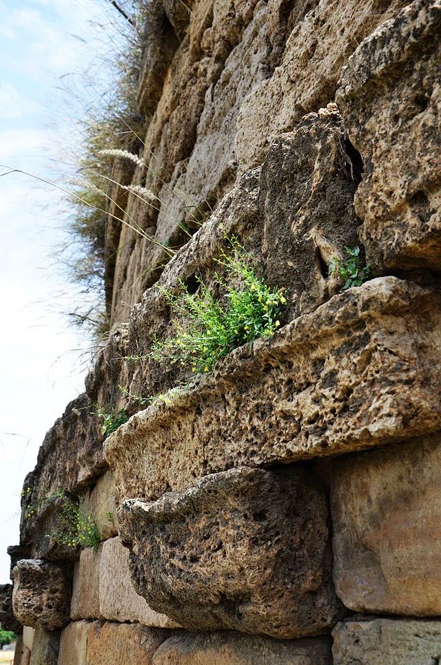 Preservation Efforts of Mankiala Stupa