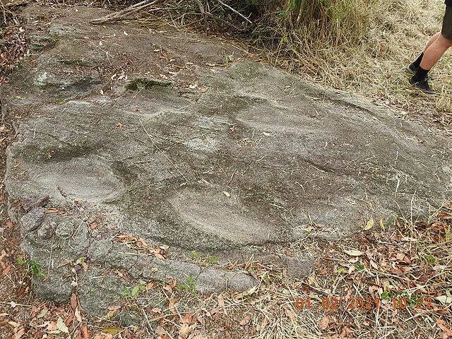 The Gympie Ape Statue