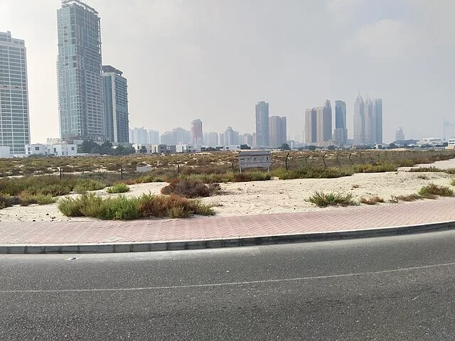 Al Sufouh Archaeological Site